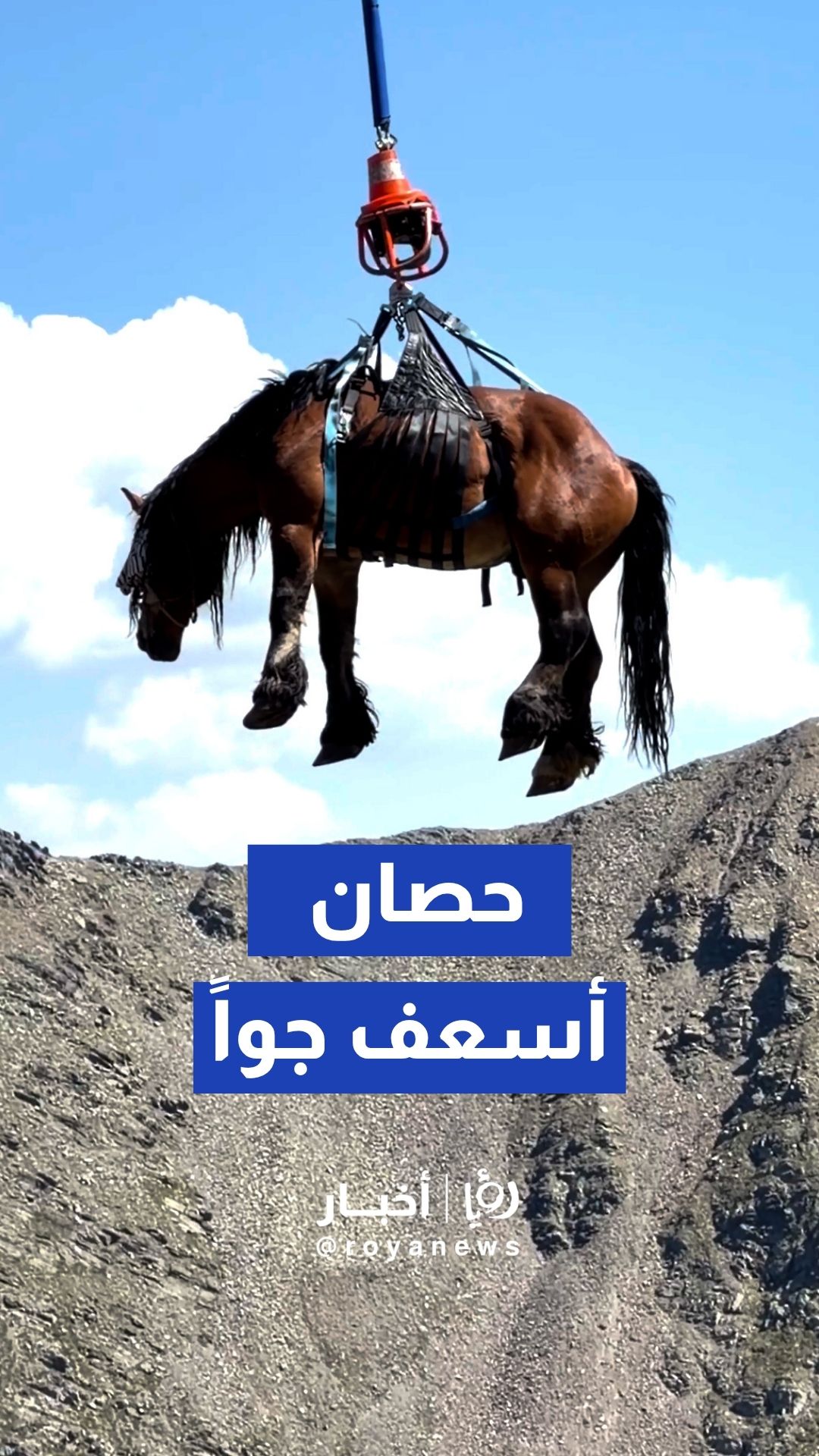 إنقاذ حصان مصاب بـنقله جوا من مرتفعات أندورا