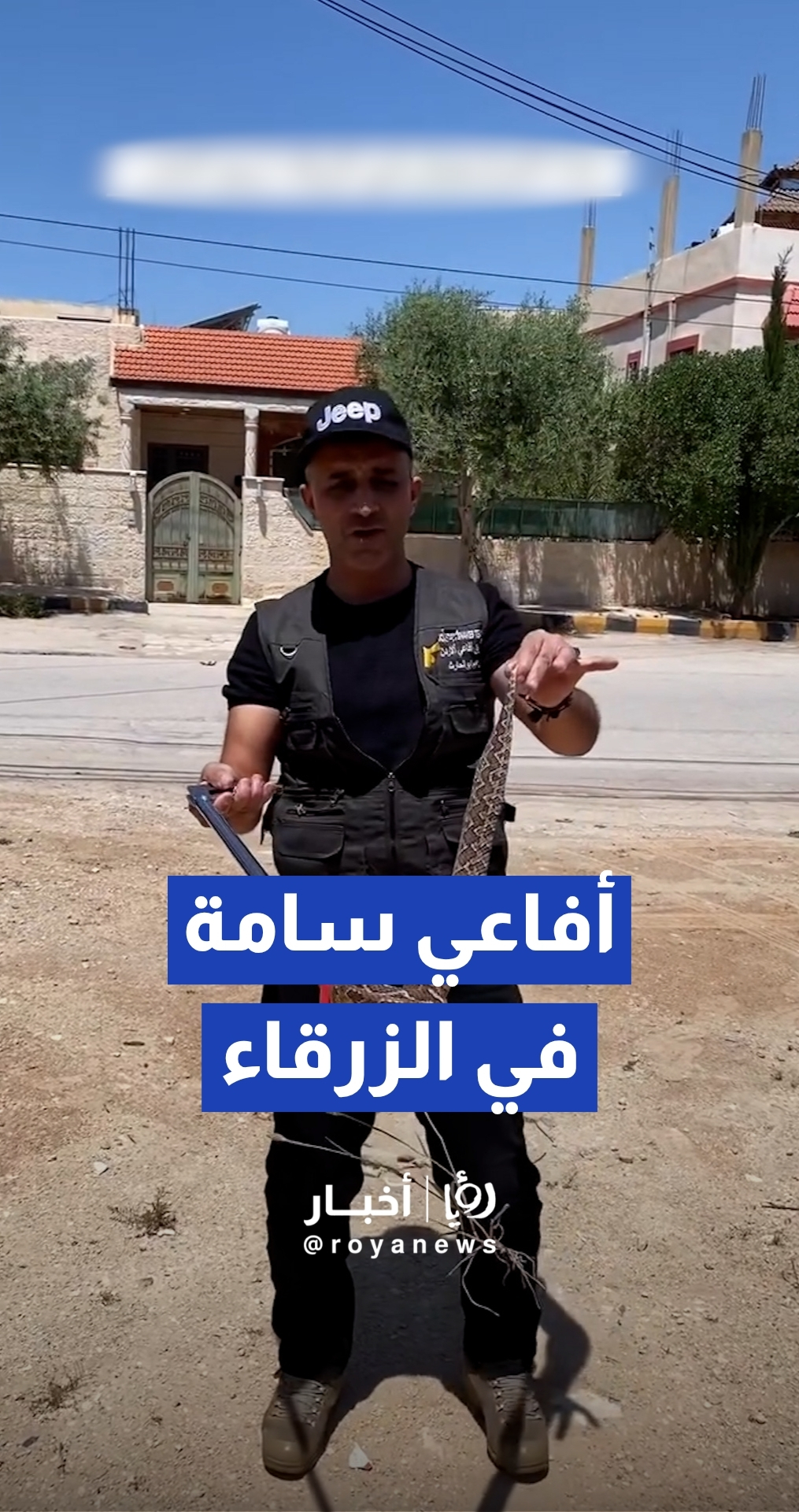 خبير أفاعي يحذر من تواجد أفاعي سامة في محافظة الزرقاء