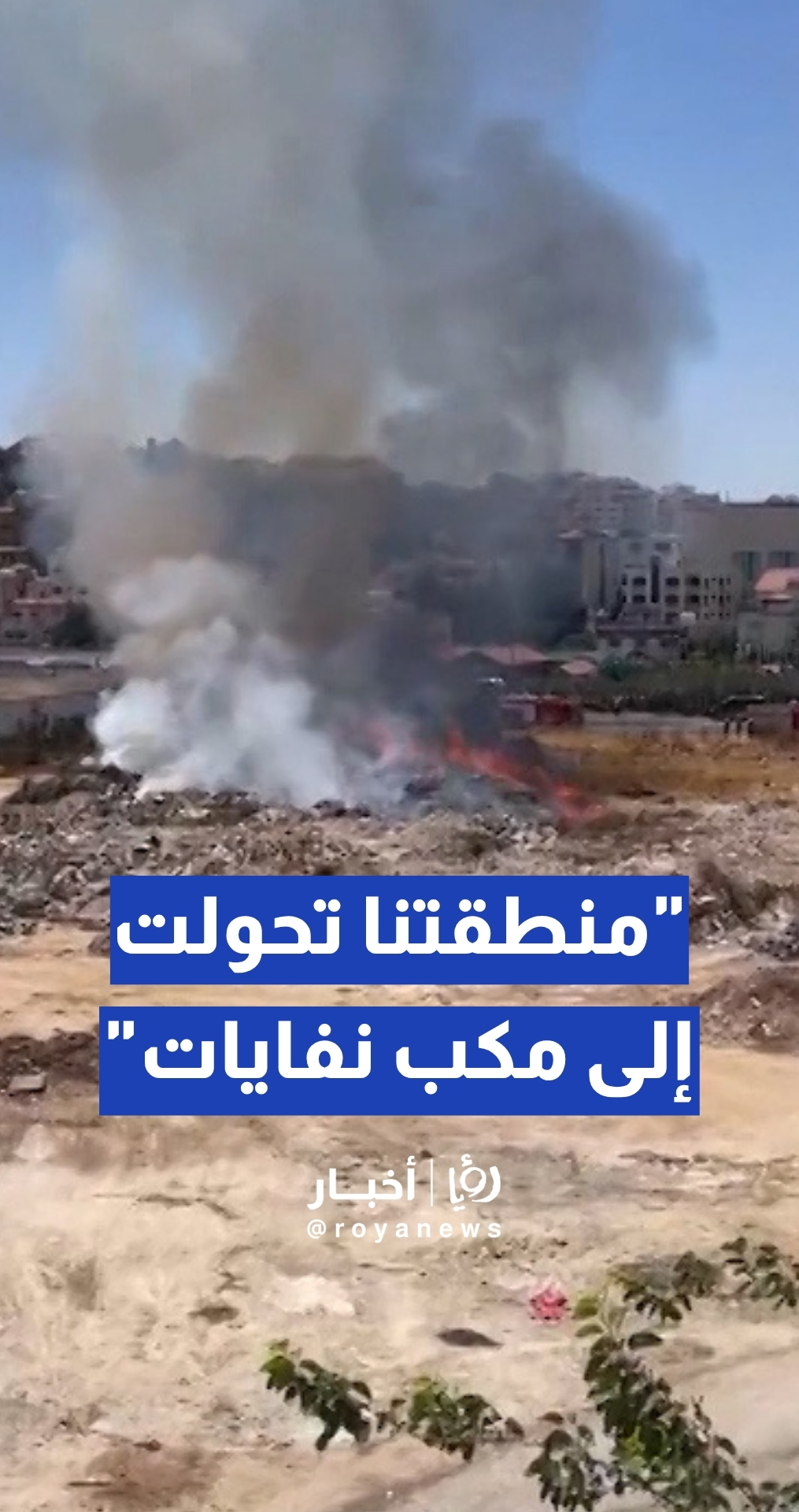 مواطن: منطقتنا تحولت إلى مكب نفايات.. والحشرات والقوارض دخلت بيوتنا