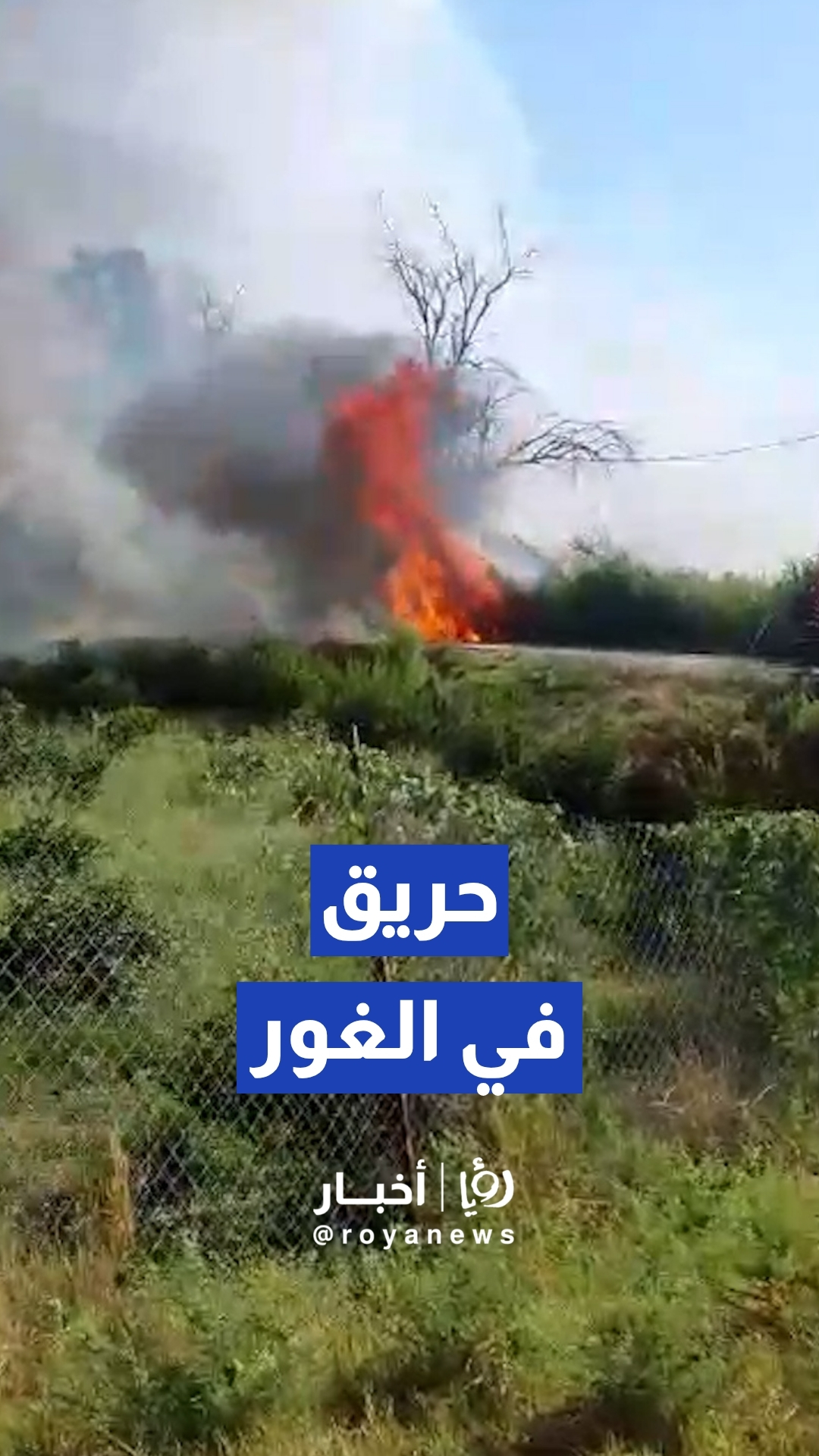 حريق في منطقة المشارع بالأغوار الشمالية