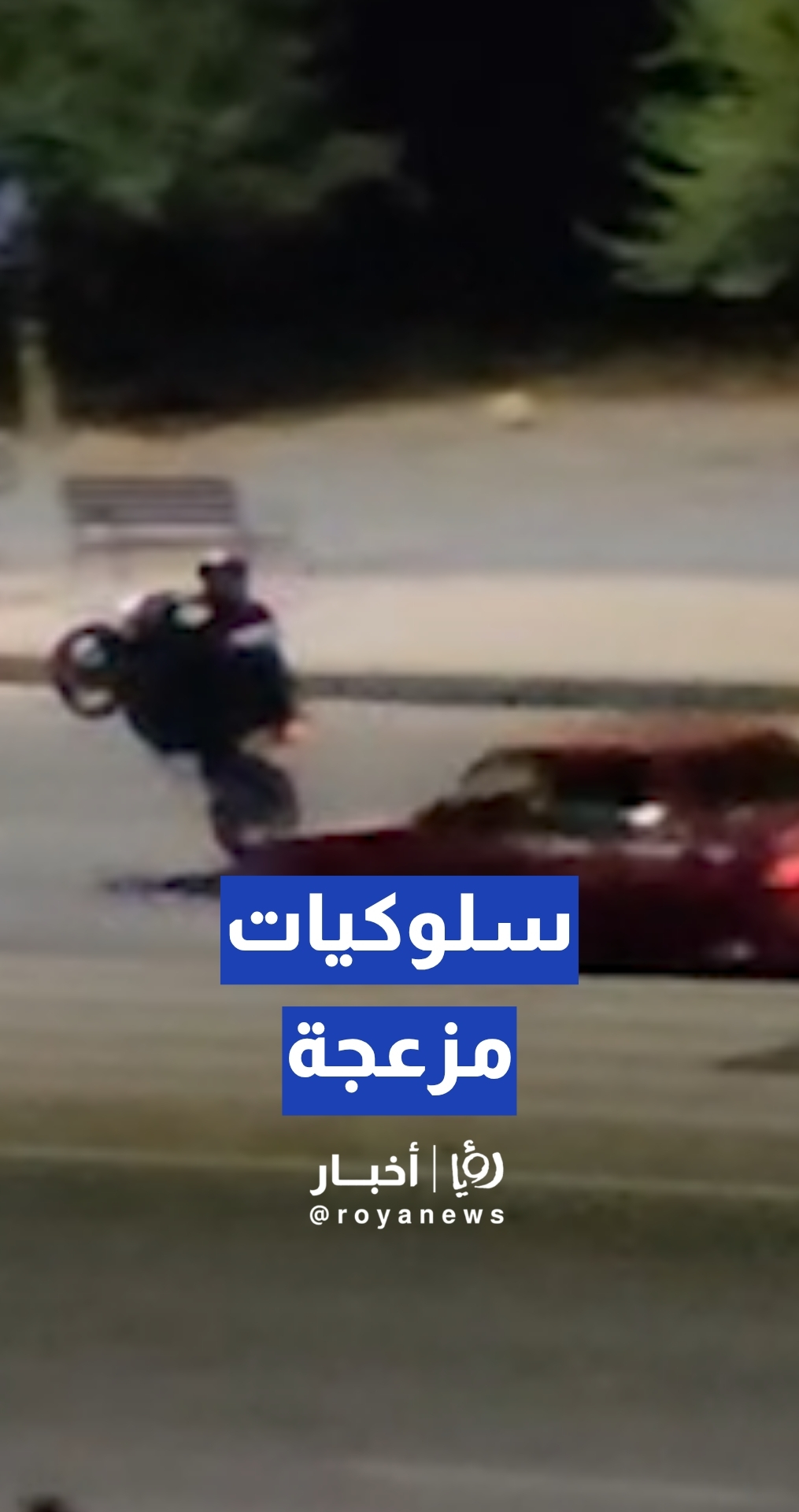 سلوكيات مزعجة على ممشى عبدون بعد منتصف الليل
