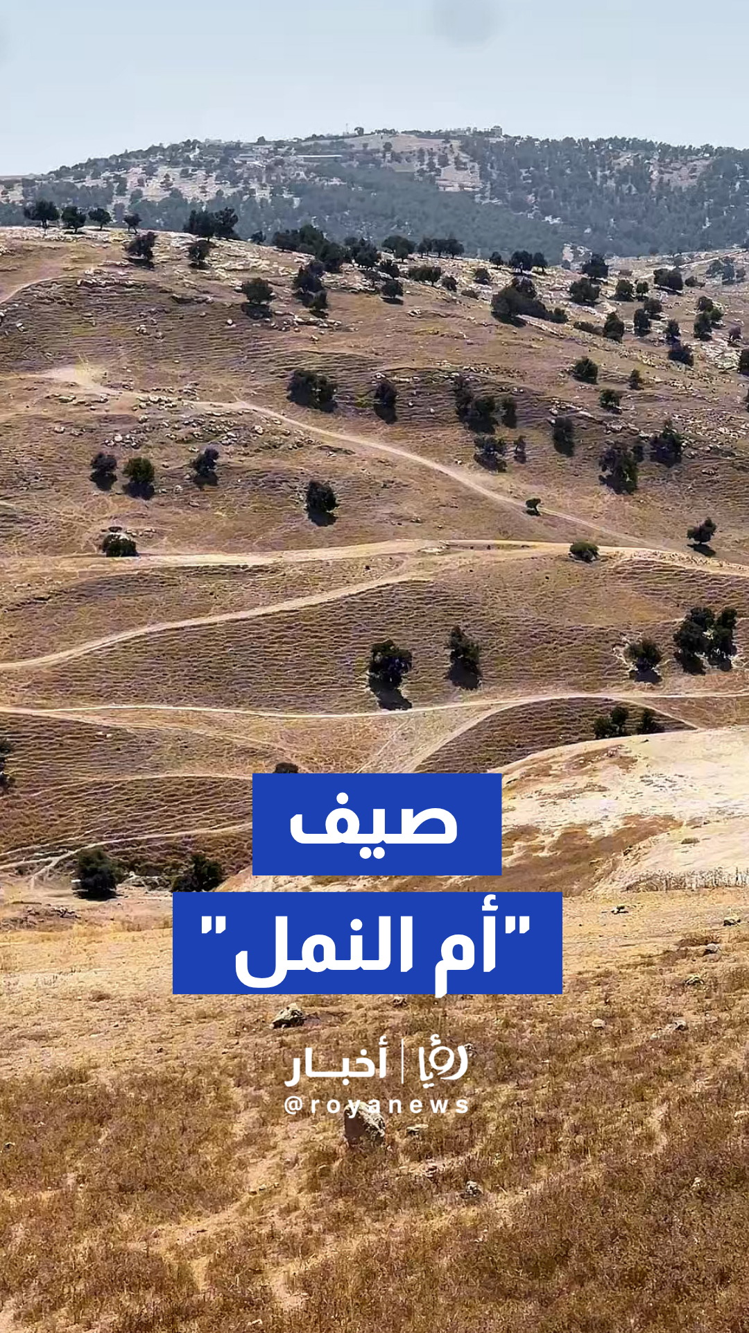 صيف "أم النمل" يرسم لوحة مغايرة تروي حكاية تبدل الفصول
