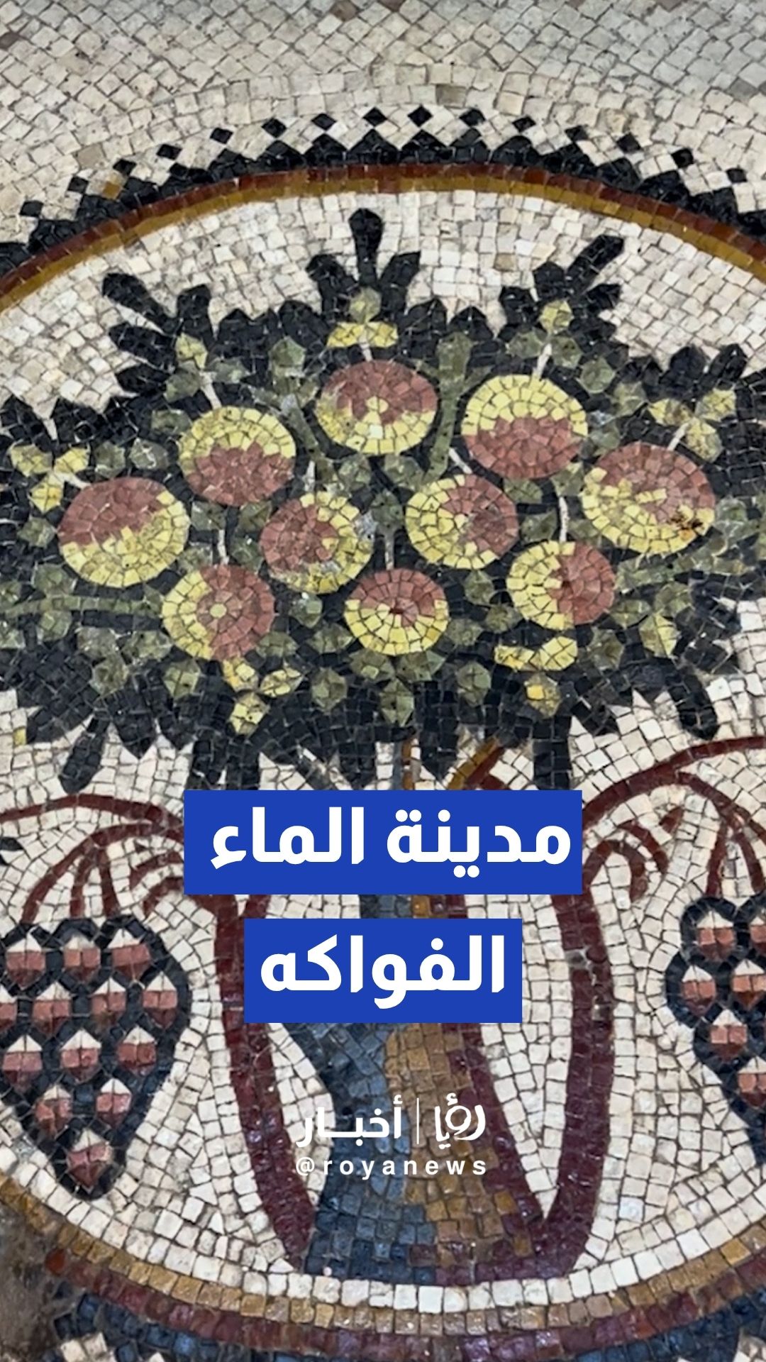 مادبا، مدينة الفسيفساء ودورها في تعزيز الهوية الوطنية والسردية الأردنية