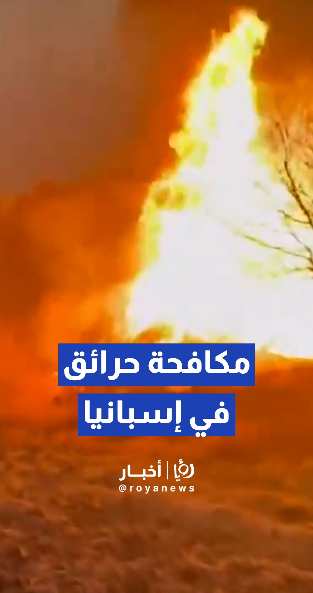 فرق الإطفاء تكافح حريقا ضخما في غابات بمقاطعة سرقسطة الإسبانية