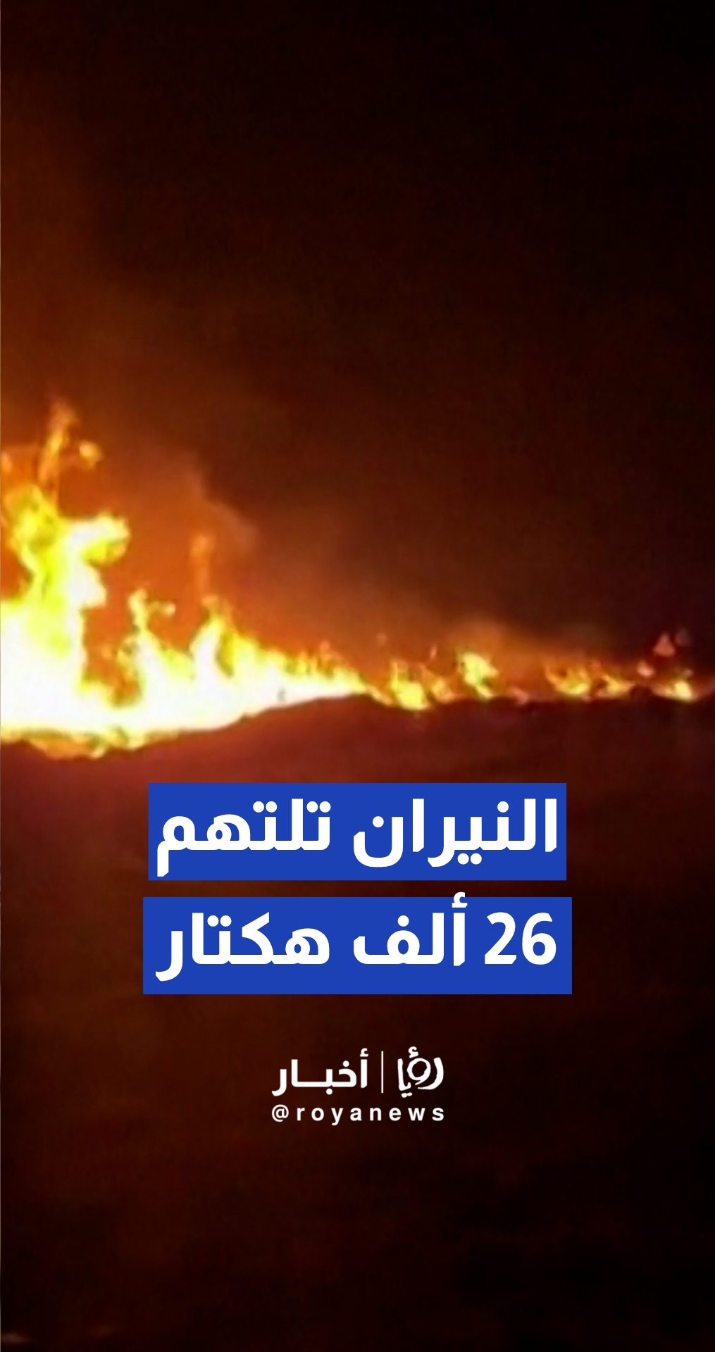 النيران تلتهم أكثر من 26 ألف هكتار من الأراضي في إقليم "كاستيا لا مانشا"