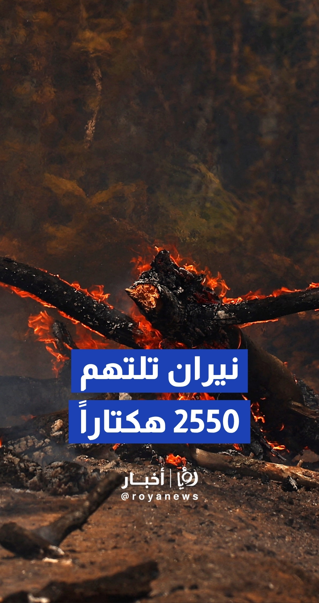 النيران تلتهم 2550 هكتارا من الأراضي والغابات في جنوب شرق فرنسا