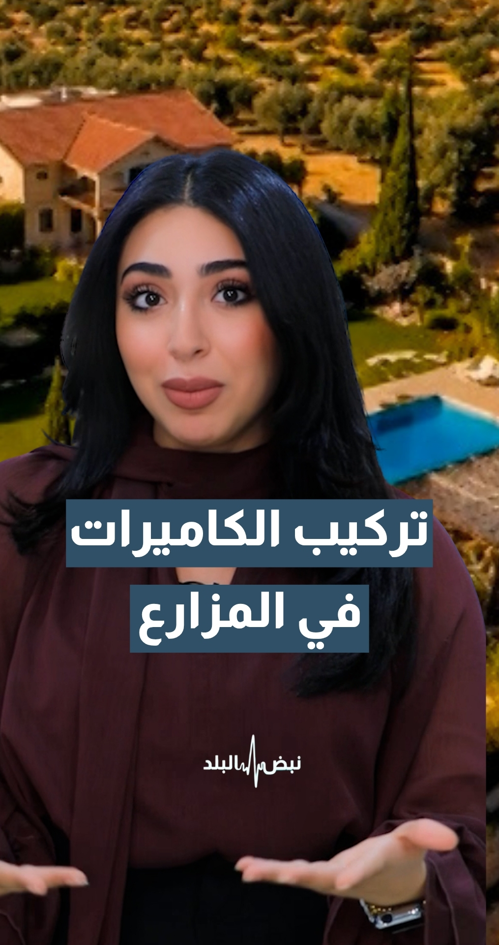 حوار ساخن على طاولة "نبض البلد" حول ترخيص وتنظيم المزارع