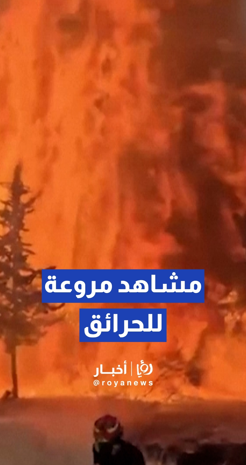 مشاهد مروعة لأسوأ حريق في تاريخ العاصمة الإسبانية مدريد