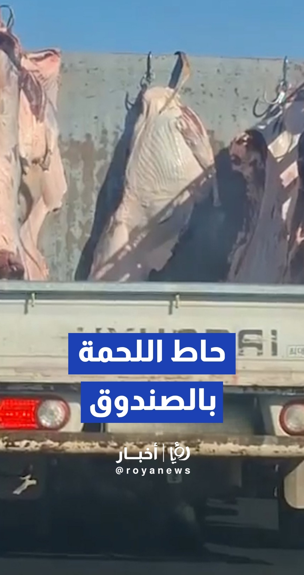 مركبة شحن مكشوفة تنقل لحوما بطريقة مخالفة على طريق الرمثا