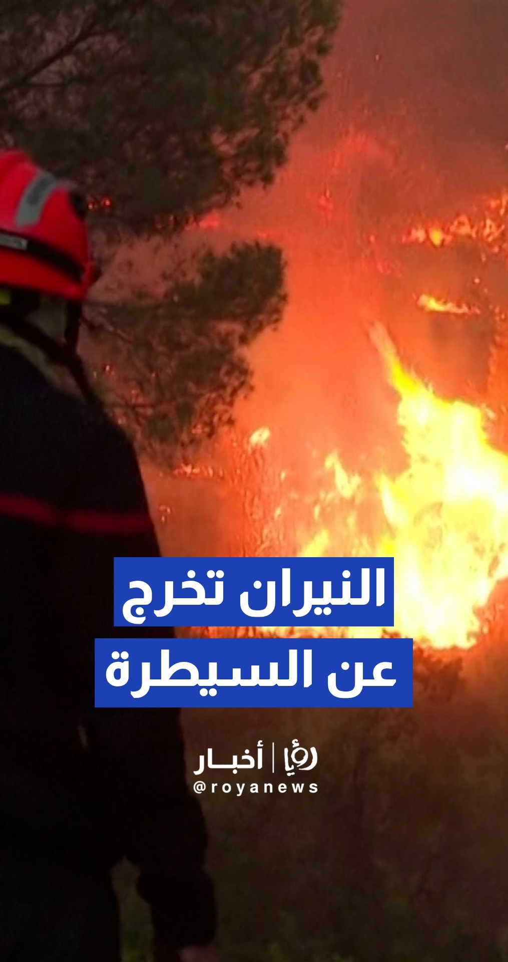 كارثة بيئية..رجال الإطفاء يكافحون حريقا جديدا التهم نحو ألف هكتار