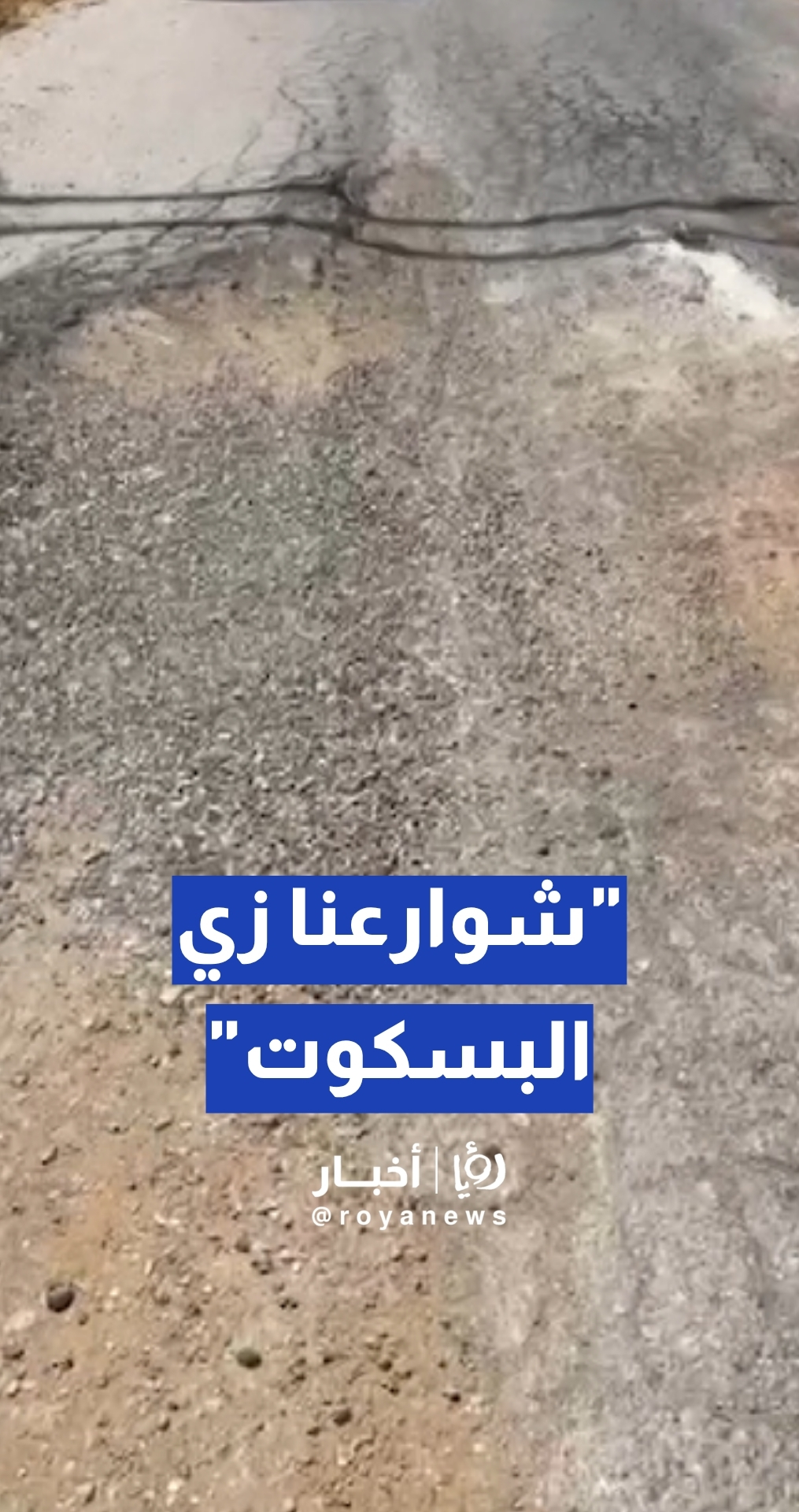 "الشوارع مكسرة وفيها أفاعي".. مواطنة تشكو الإهمال في الطنيب.. وبلدية الجيزة توضح