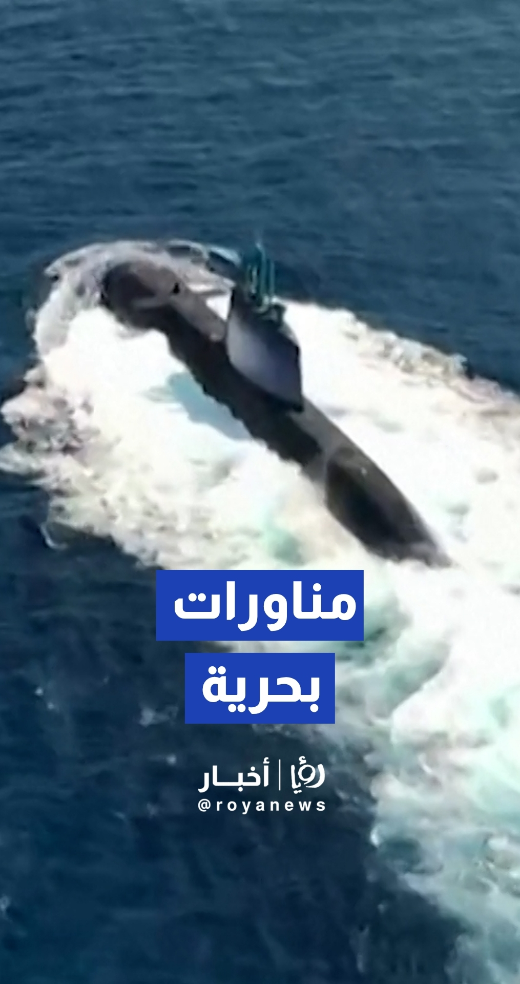الجيش "الإسرائيلي" ينشر مشاهد لمناورات بحرية واسعة النطاق