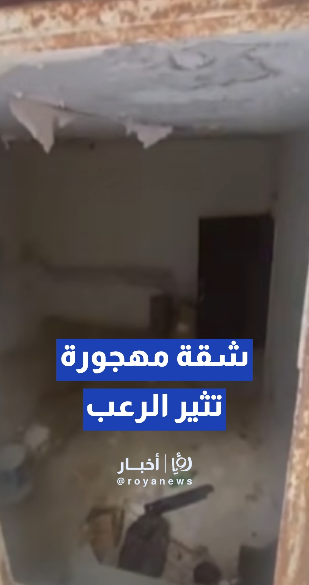 مواطن من الرصيفة: شقة مهجورة "مأذيتنا كثير".. والحمدوني يرد