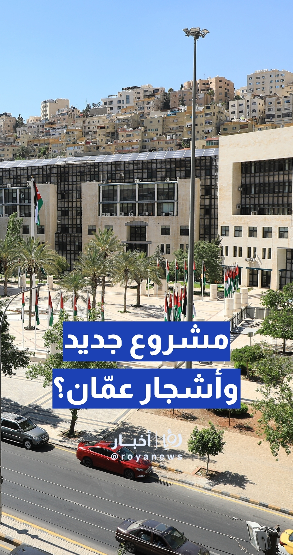 مشروع يحتاج قلع أشجار.. كيف تتعامل "أمانة عمان" مع الأمر؟