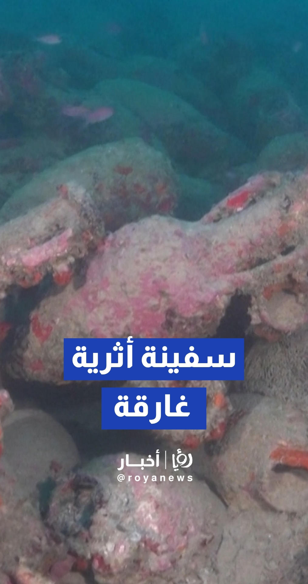 اكتشاف سفينة رومانية غارقة تضم مئات الجرار الأثرية قبالة سواحل صقلية