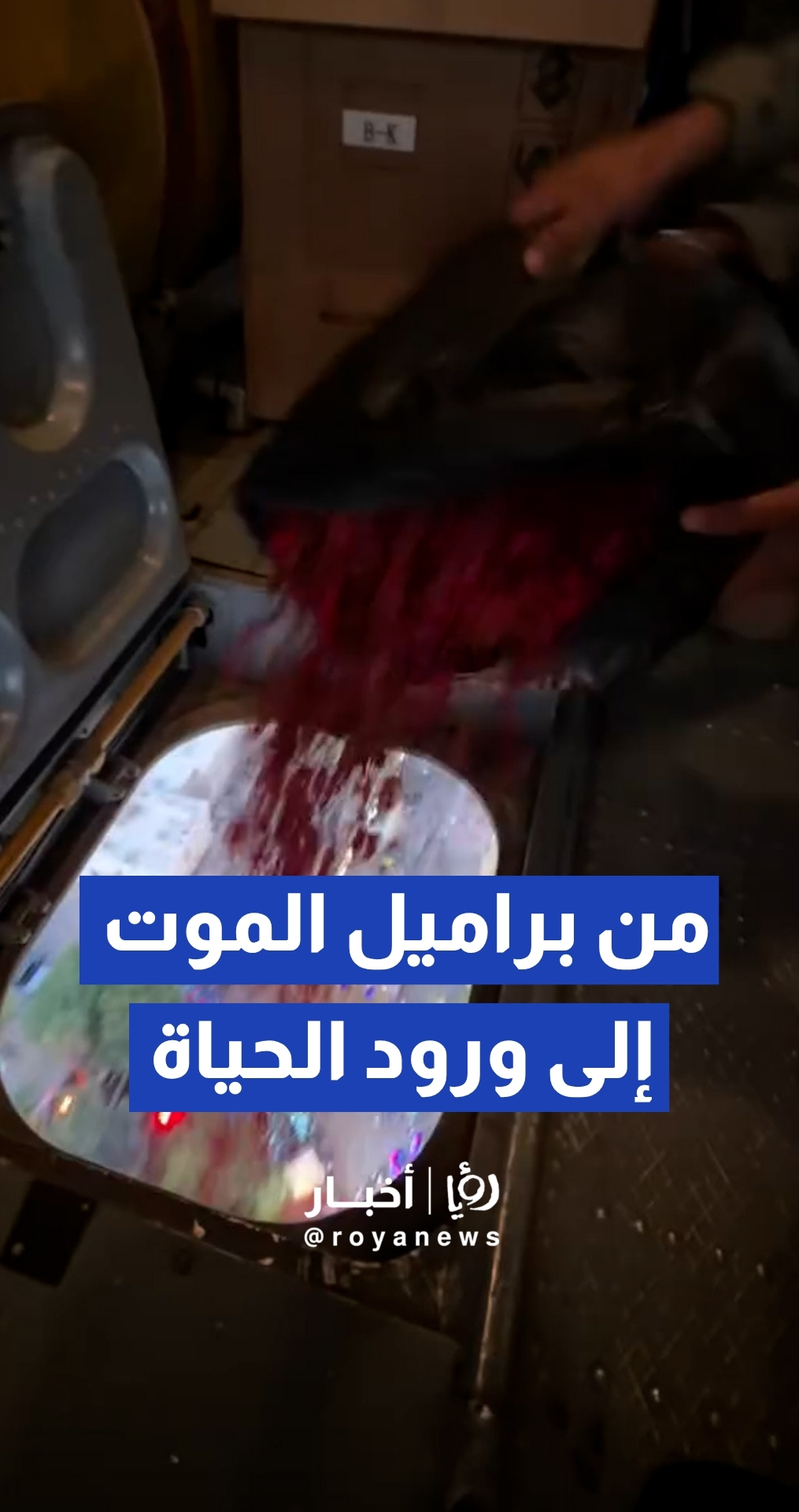 مروحيات الجيش السوري تلقي الورود والرسائل اللطيفة في سماء مهرجان "صيف سوريا"