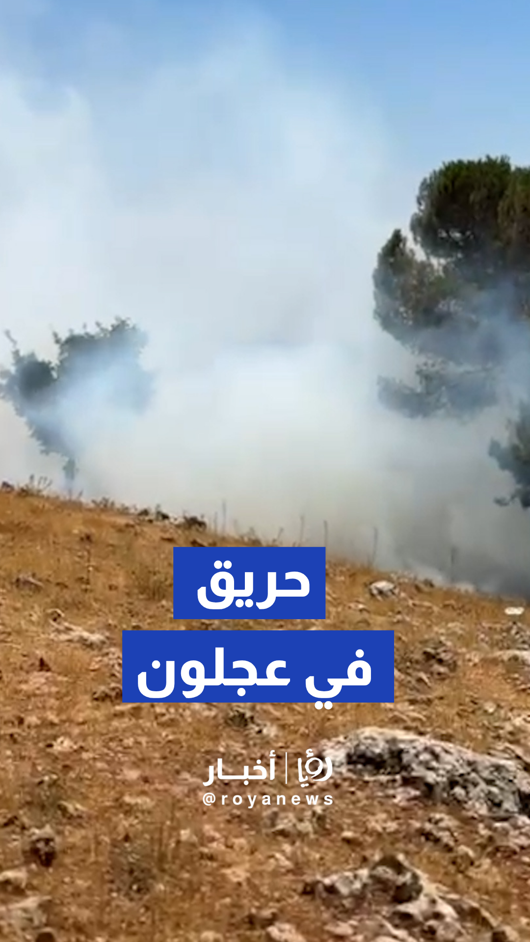 مراسل "رؤيا": اندلاع حريق في إحدى المناطق الحرجية بقضاء صخرة في عجلون
