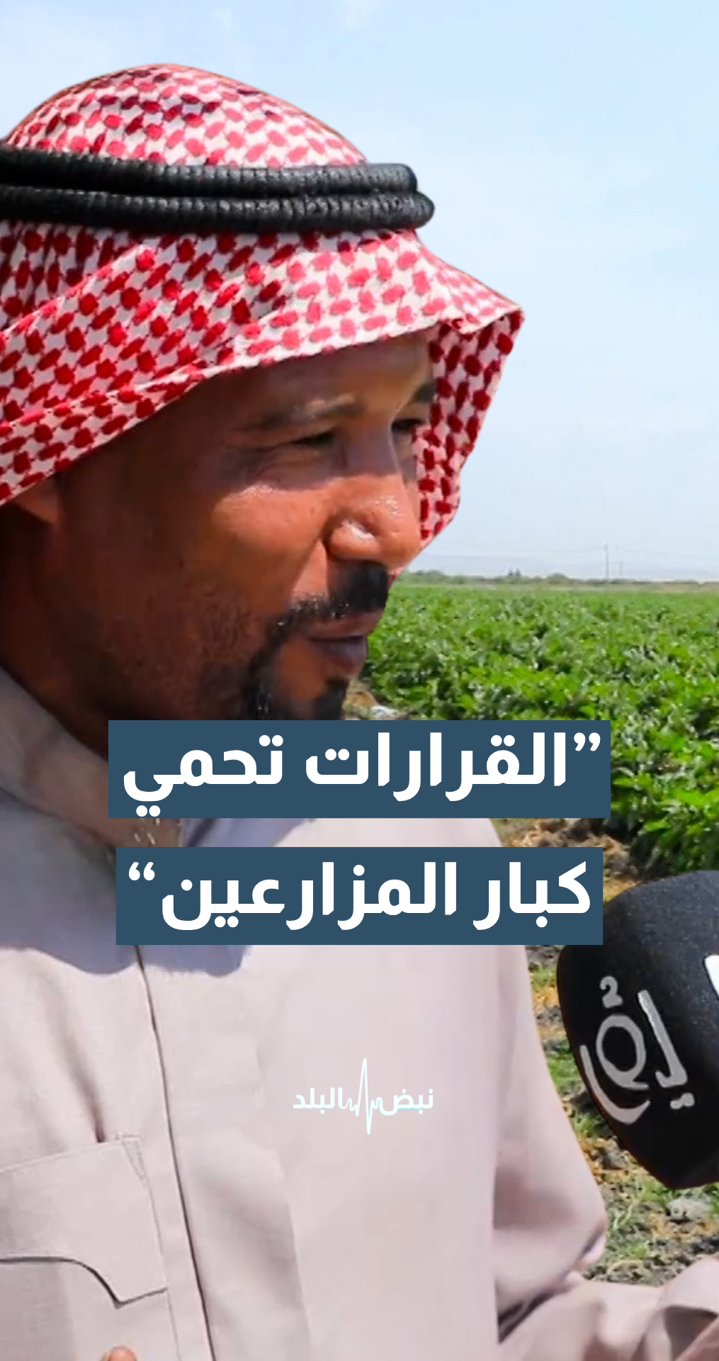 مزارع: دائما القرارات تحمي كبار المزارعين...تفاصيل