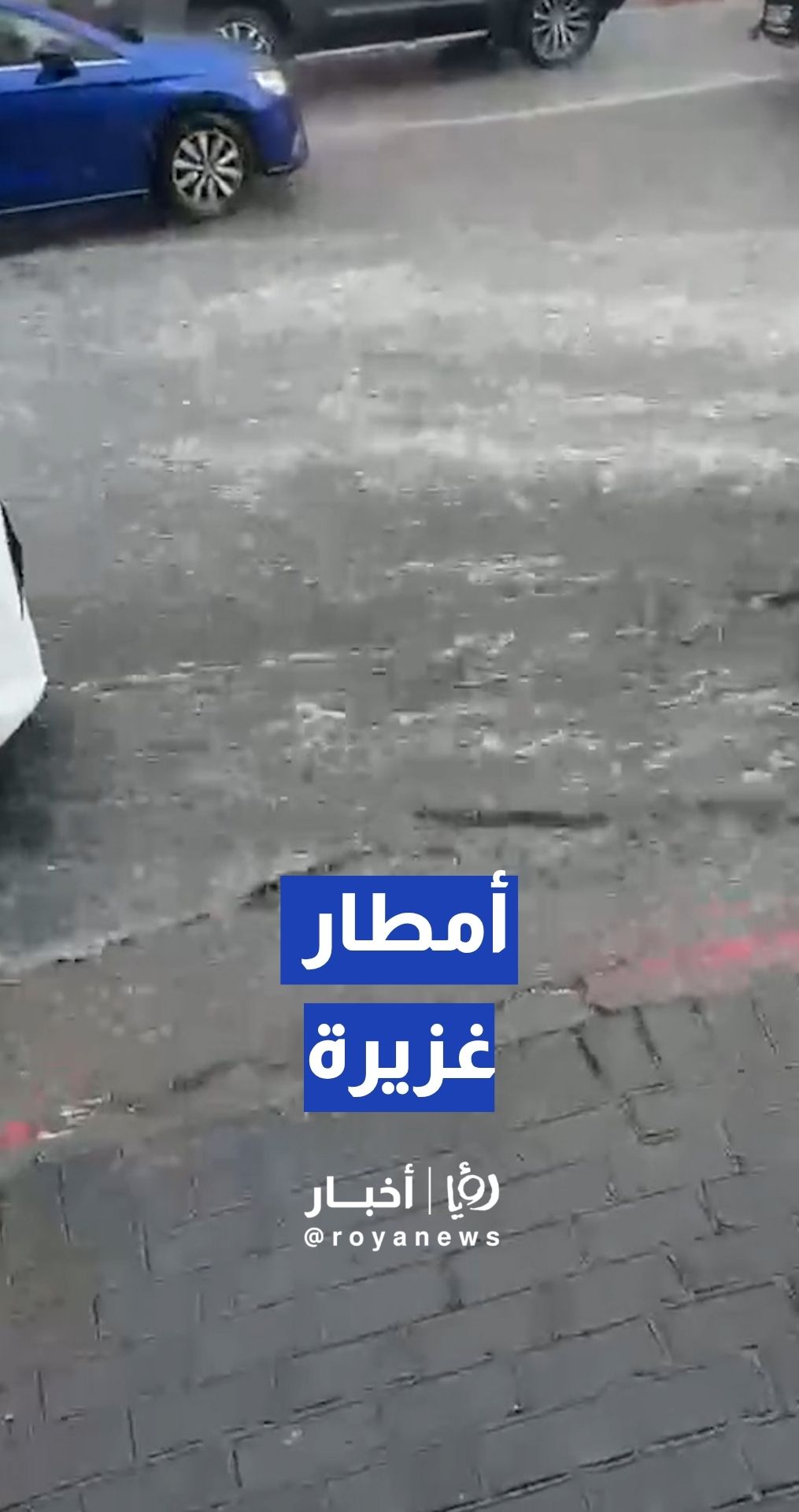 أمطار غزيرة وتشكل السيول في منطقة راس الجورة بالخليل