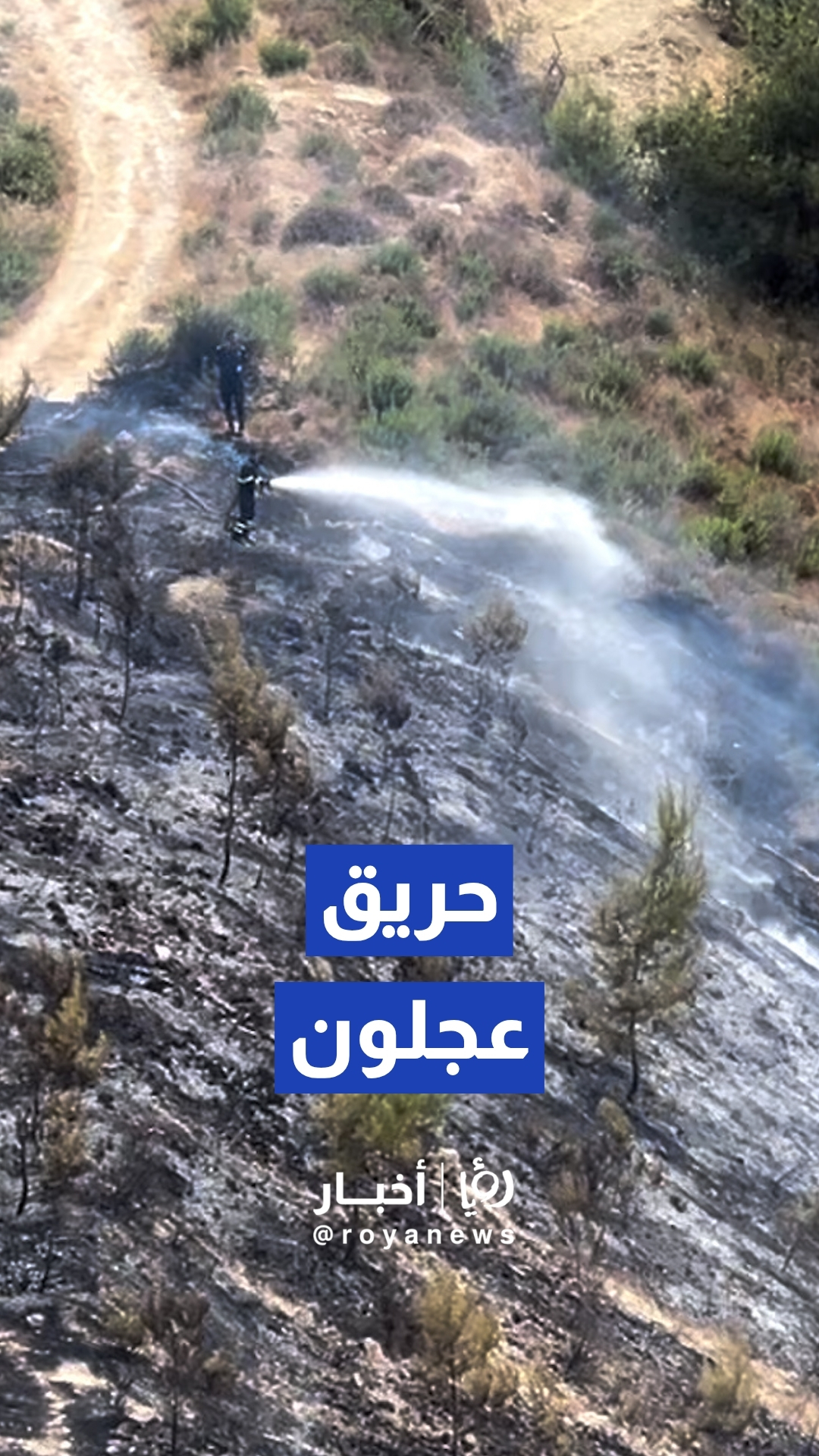 كوادر الدفاع المدني تتعامل مع حريق حرجي اندلع خلف مستشفى الإيمان الحكومي في عجلون