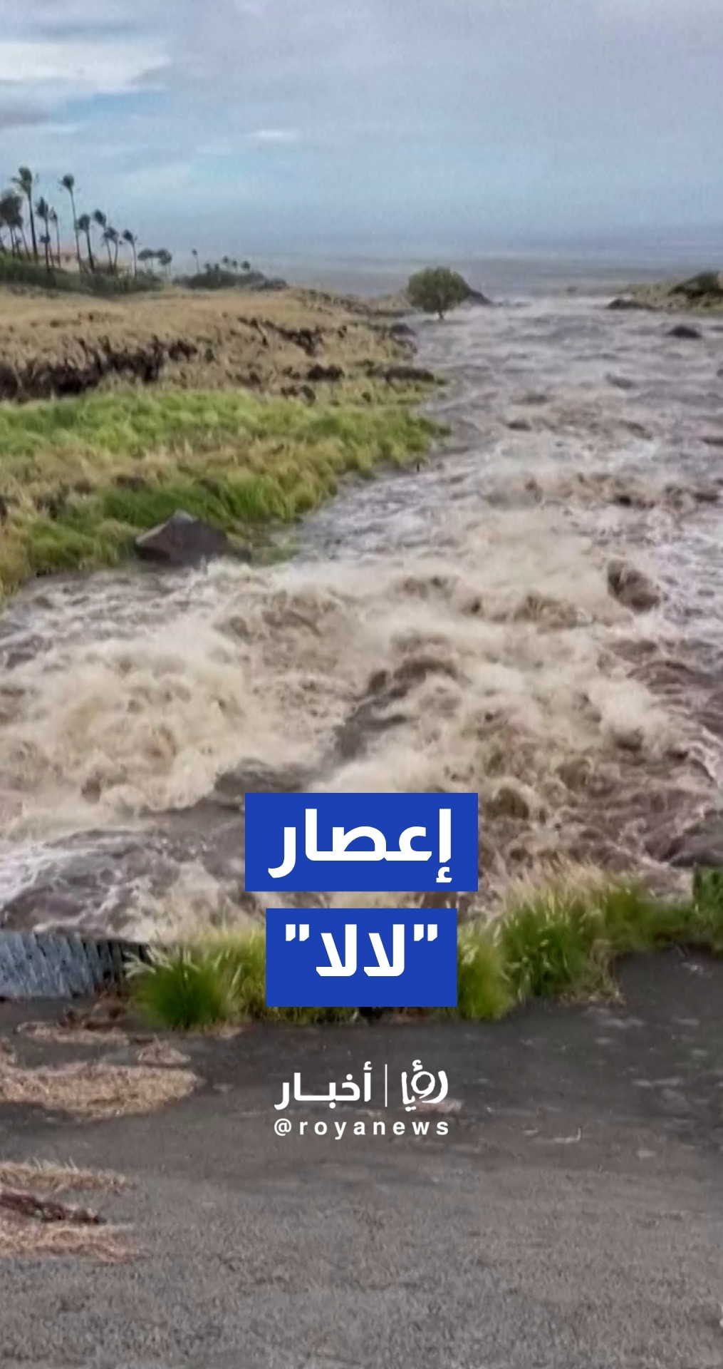 أمطار غزيرة وفيضانات في هواي مع مرور إعصار "لالا"
