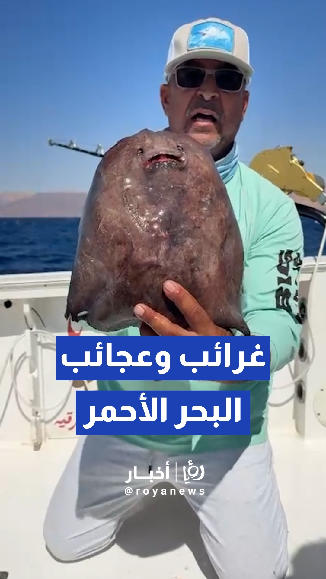 "وجه يشبه الإنسان وشوكة سامة".. توثيق لسمكة "غراب البحر" الغريبة في خليج العقبة