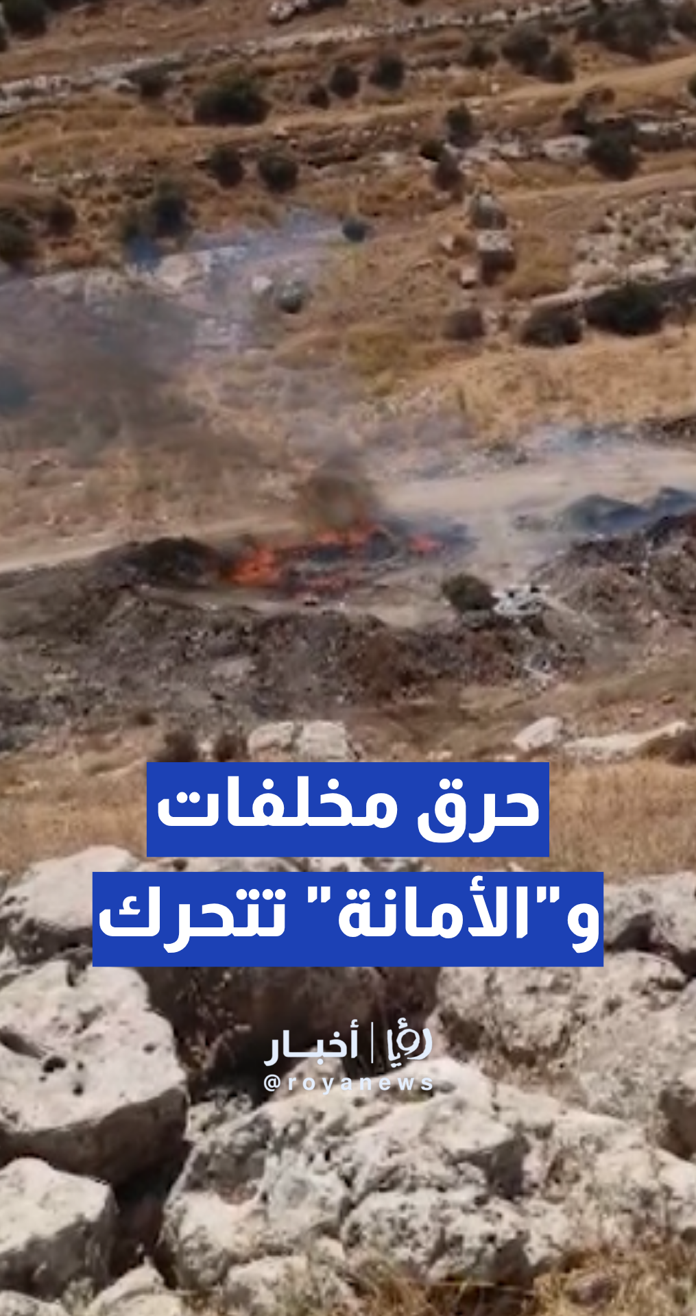 حافلات جديدة للباص سريع التردد في شوارع عمان