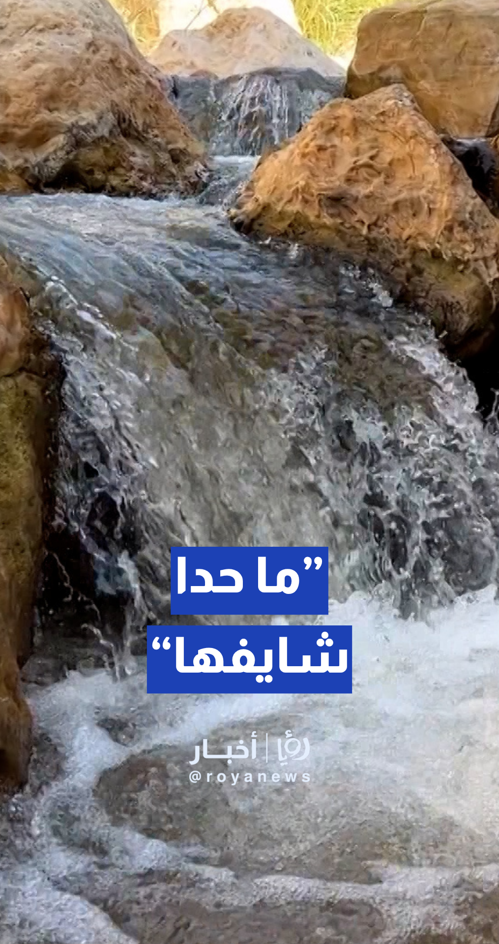 النائب القوابعة: إذا في سياحة في الطفيلة.. ما حدا شايفها