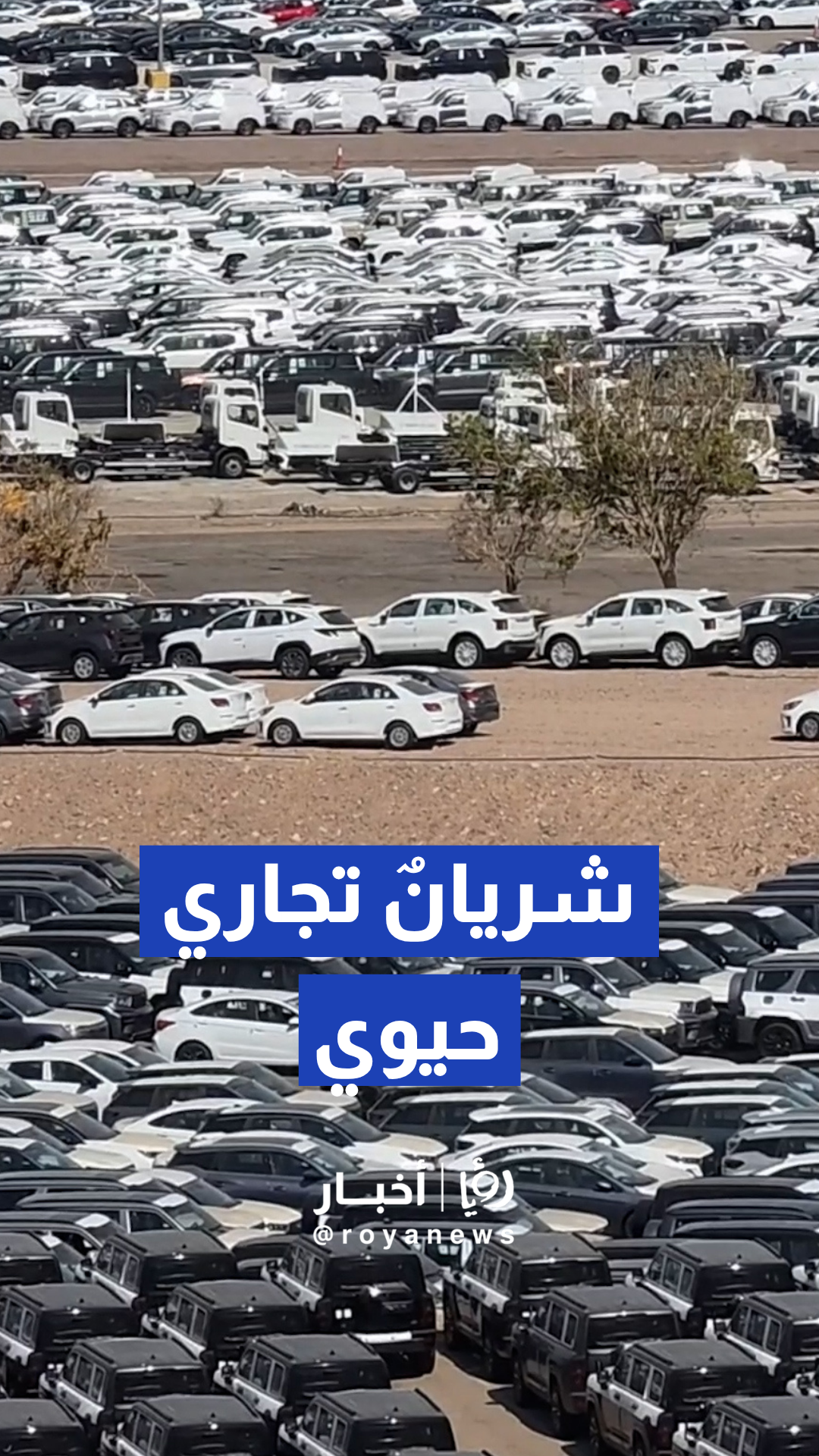 ميناء العقبة يتحول إلى نقطة الارتكاز الأولى لمركبات وبضائع الترانزيت بالمنطقة