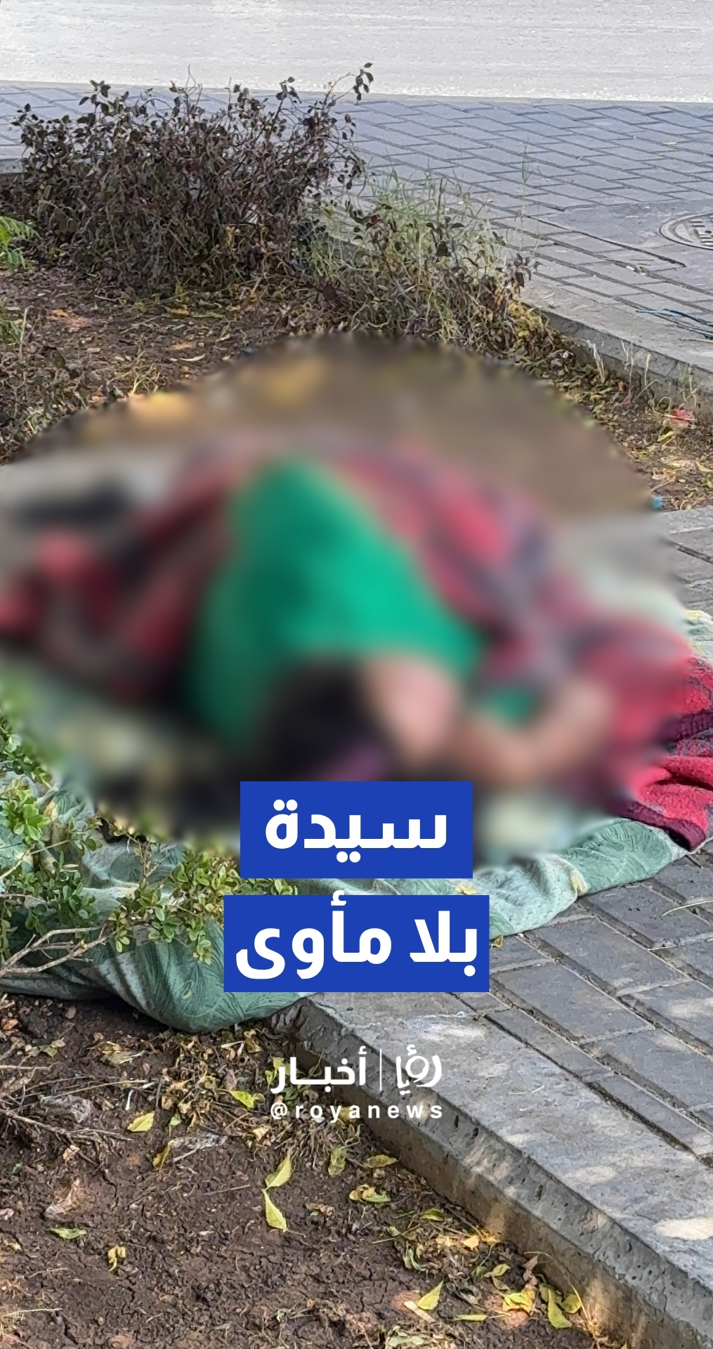 سيدة بلا مأوى وحالتها النفسية والصحية صعبة في منطقة "وسط البلد" بالعاصمة عمان