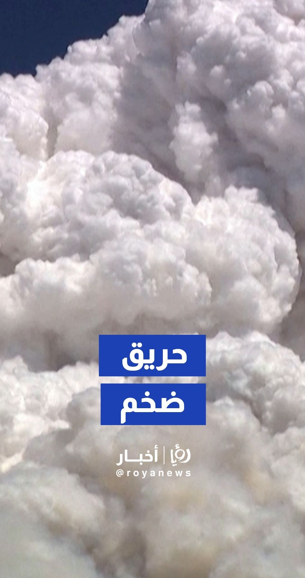 حريق غابات ضخم في نيفادا يجبر الآلاف على الإخلاء