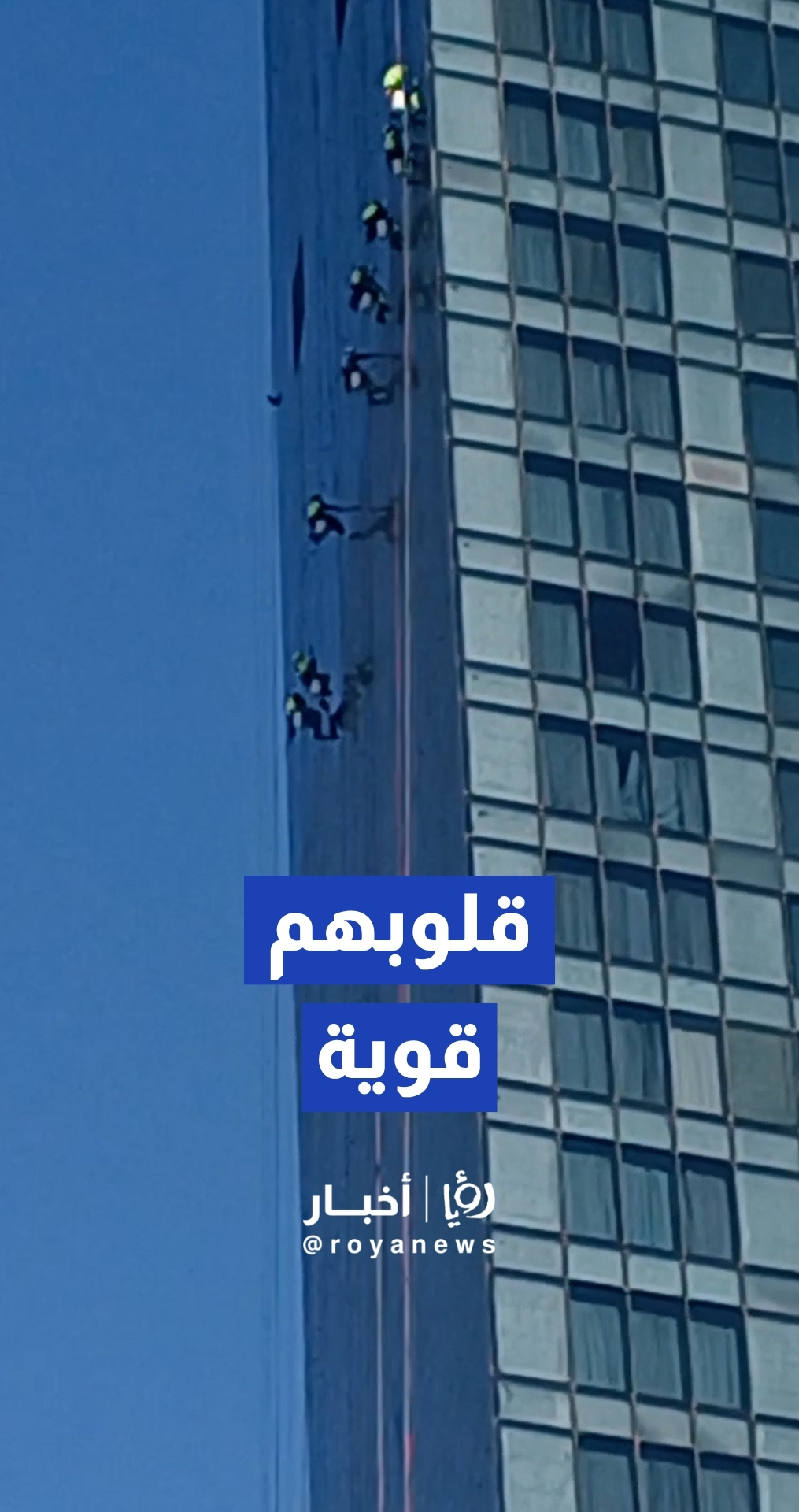 مشاهد تحبس الأنفاس لعمال ينظفون واجهات الزجاج لأحد الأبراج في منطقة العبدلي