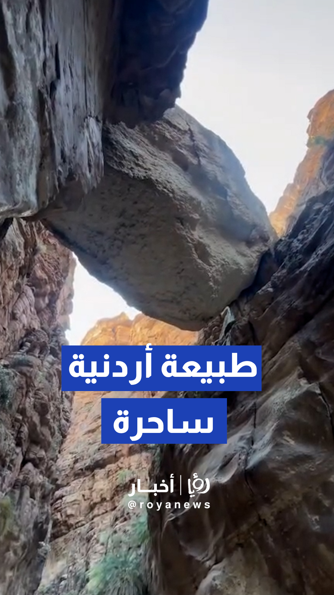جمال السيول والممرات الصخرية الضيقة في وادي نميرة الأردني