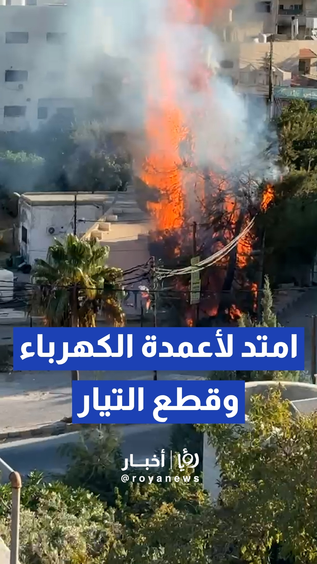 السيطرة على حريق أعشاب وأشجار امتد لأعمدة الكهرباء في عين جنة بعجلون