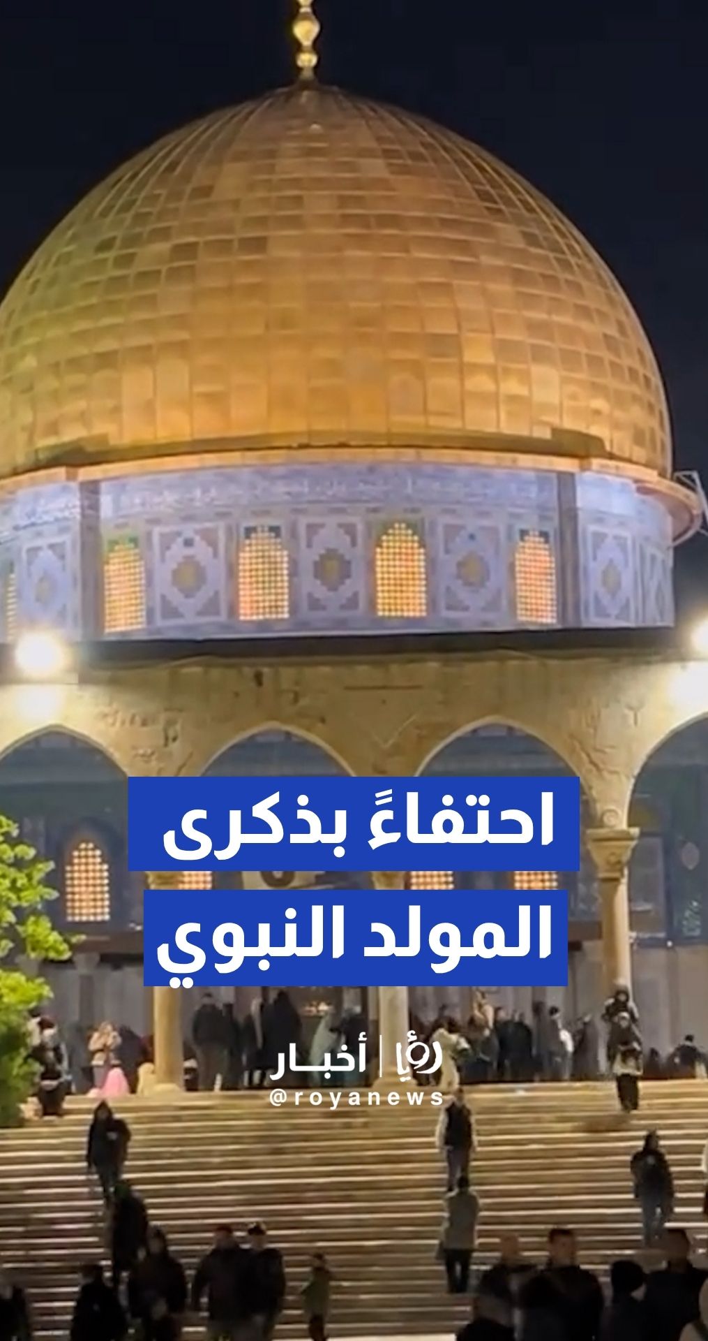 رحاب المسجد الأقصى في ذكرى المولد النبوي الشريف