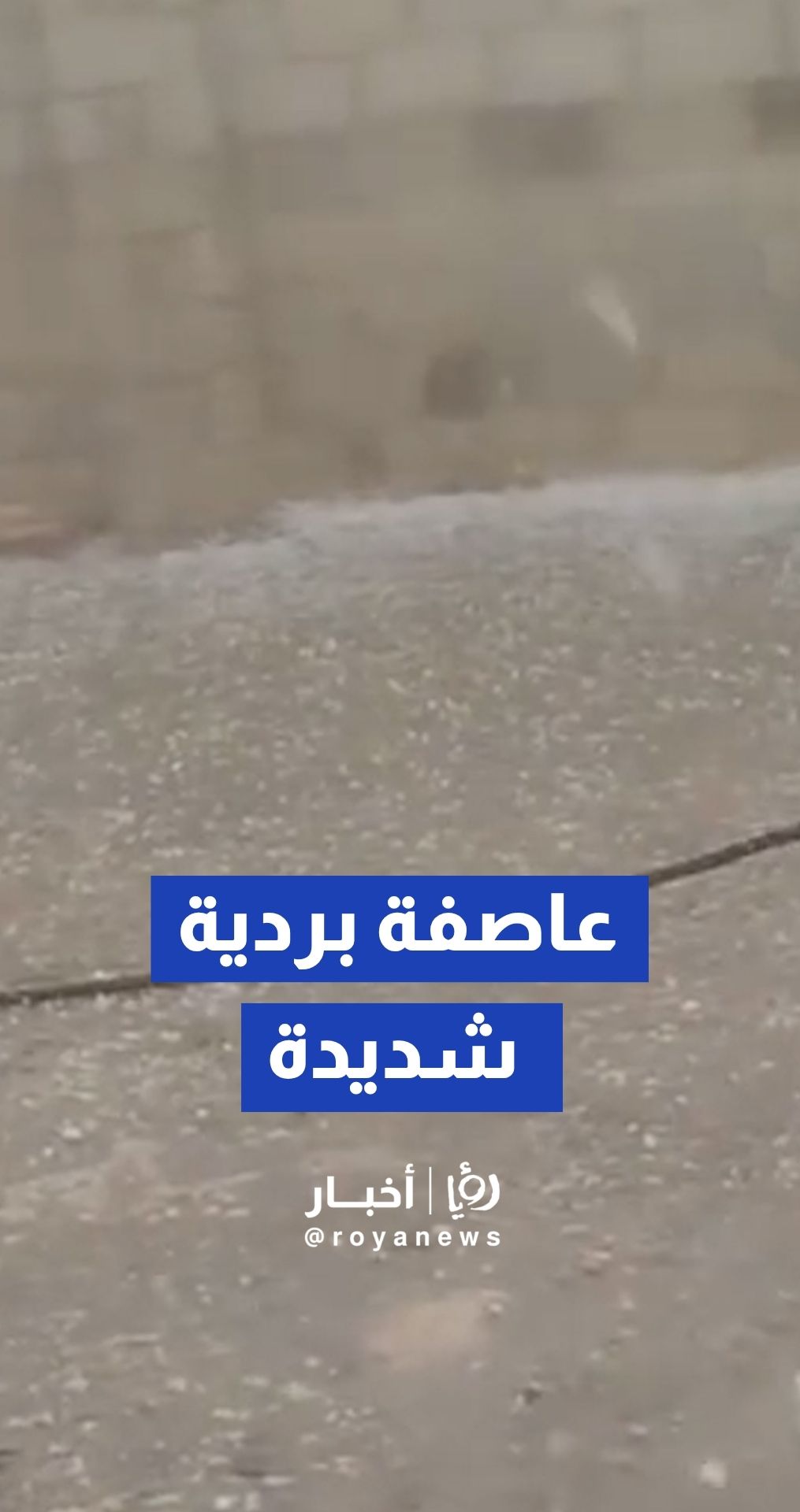 عاصفة بردية شديدة تجتاح ريف حماة الشرقي قرب مدينة السلمية