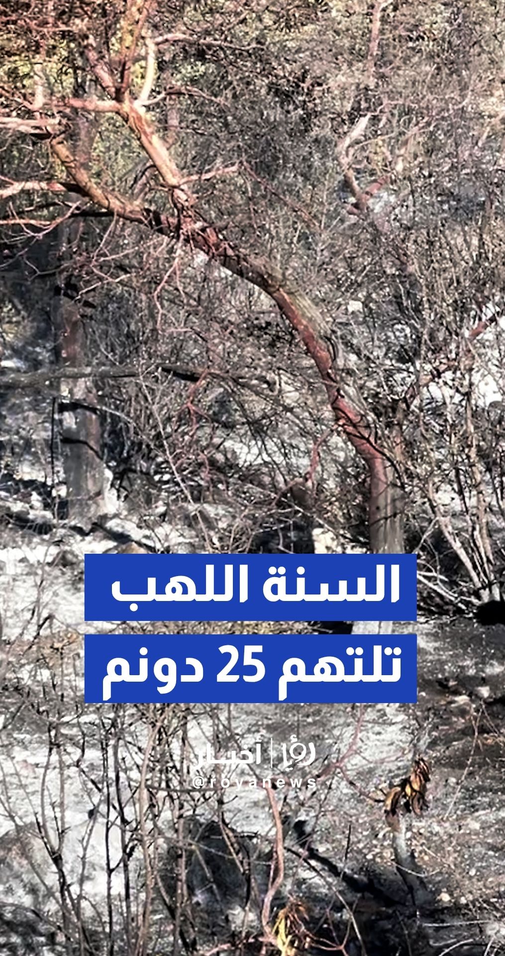 حريق في غابات الصفصافة بين جرش وعجلون